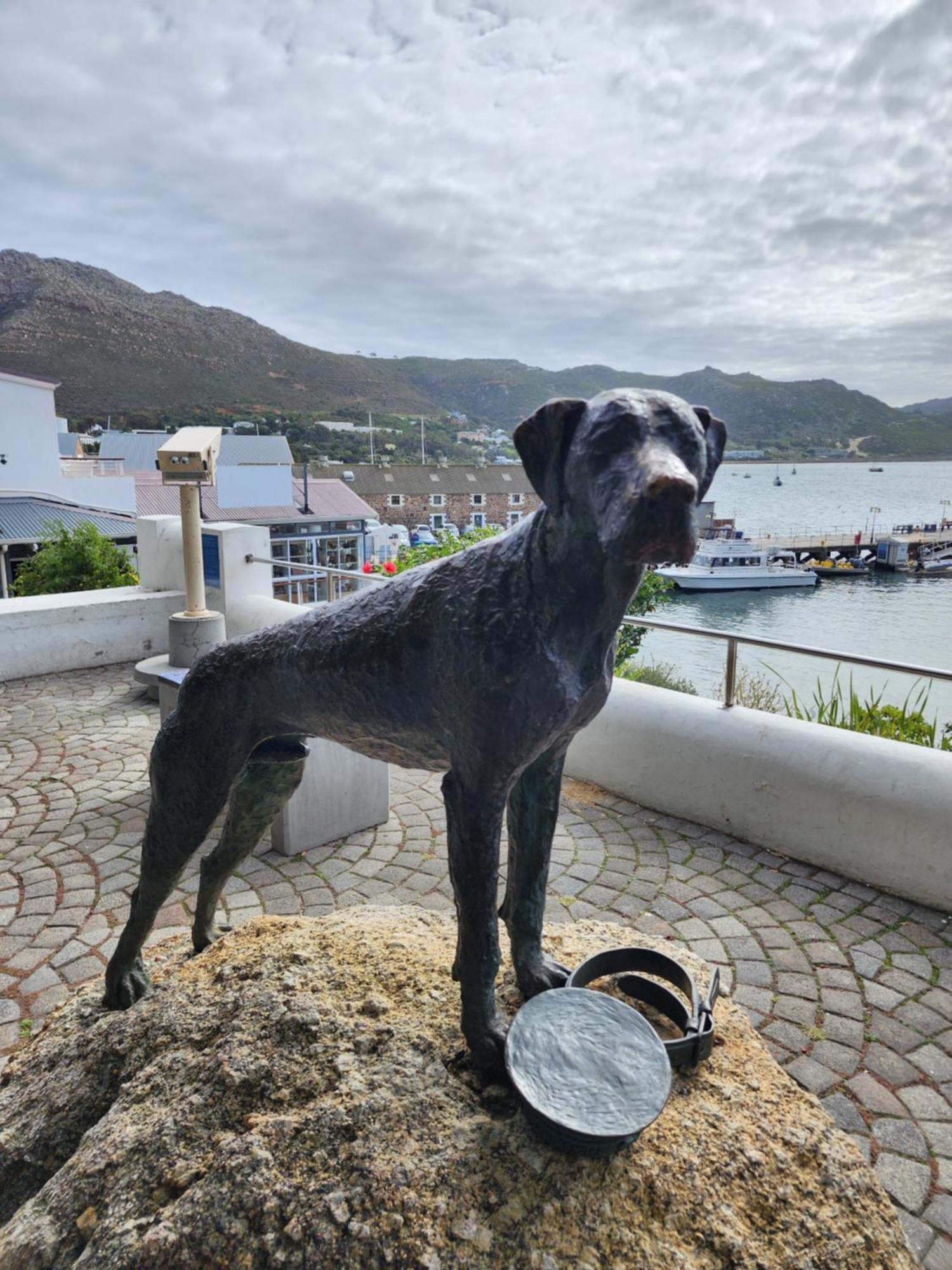 Boulders Blue Bed And Breakfast Simon's Town Luaran gambar