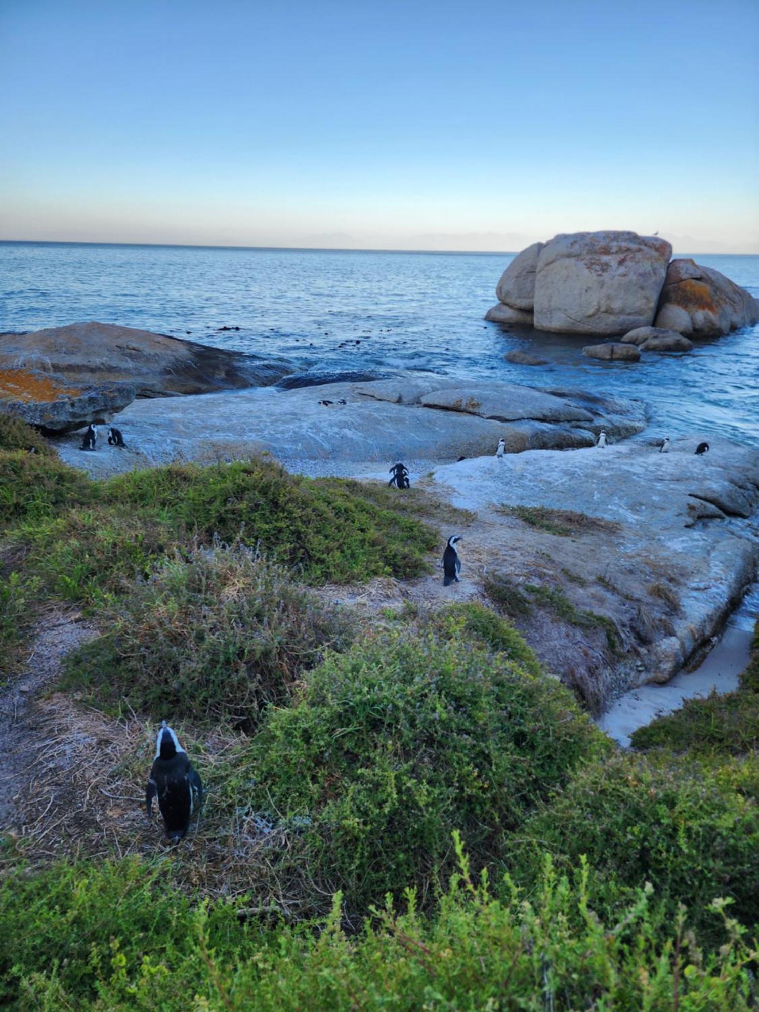 Boulders Blue Bed And Breakfast Simon's Town Luaran gambar