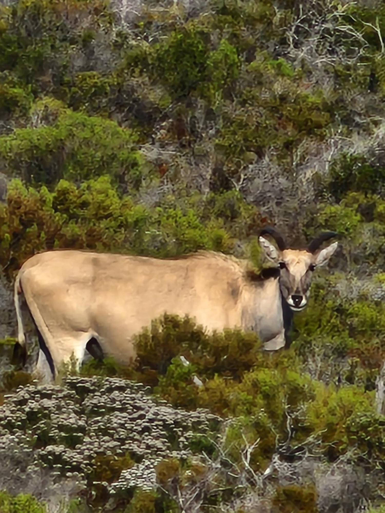 Boulders Blue Bed And Breakfast Simon's Town Luaran gambar